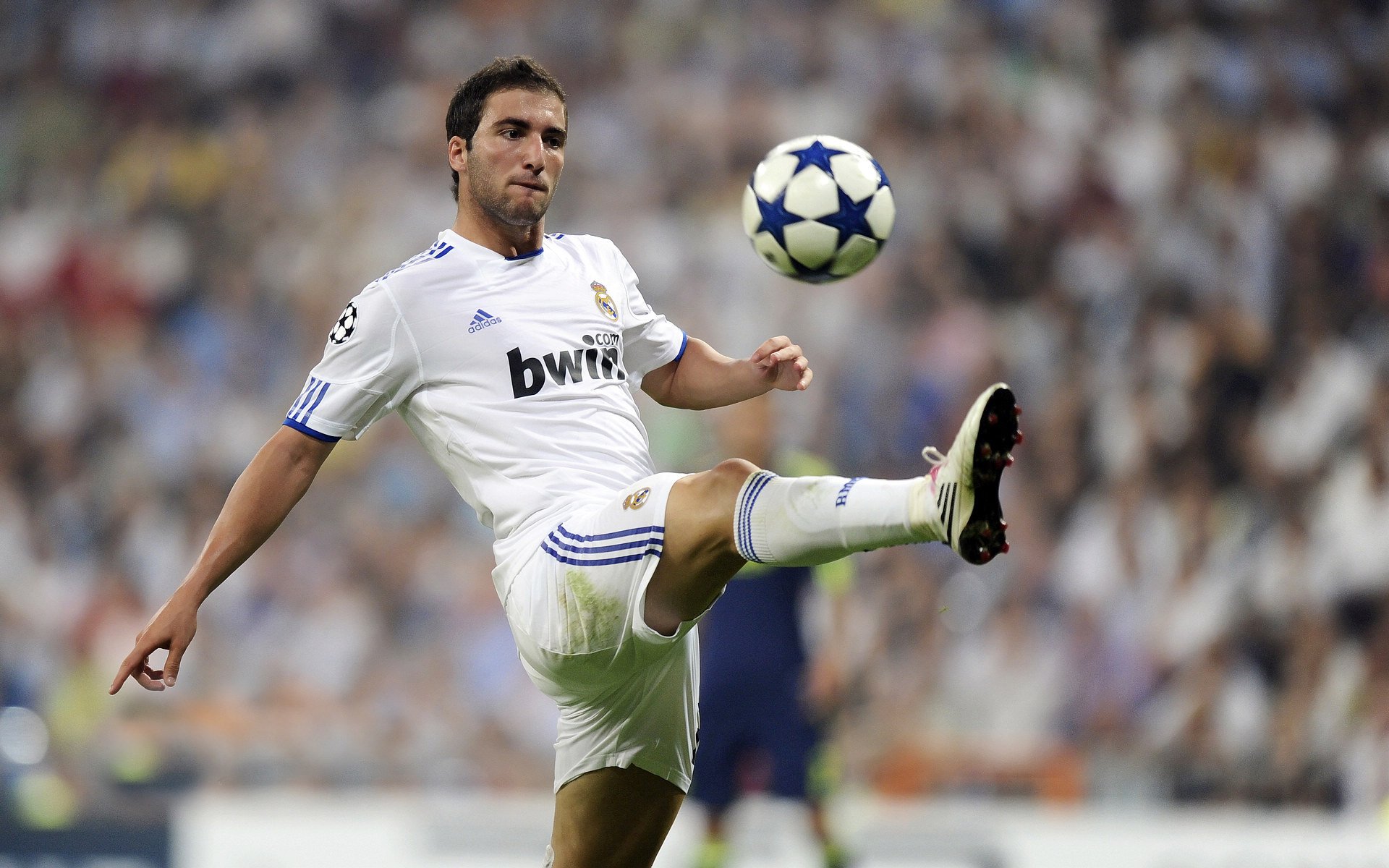 WTT冠军赛转会风云：广厦男篮盯上锋线强援，高芙或成交易筹码